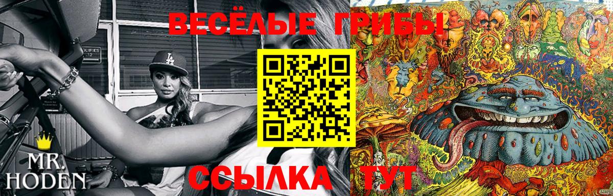 Псилоцибиновые грибы мицелий Старый Оскол