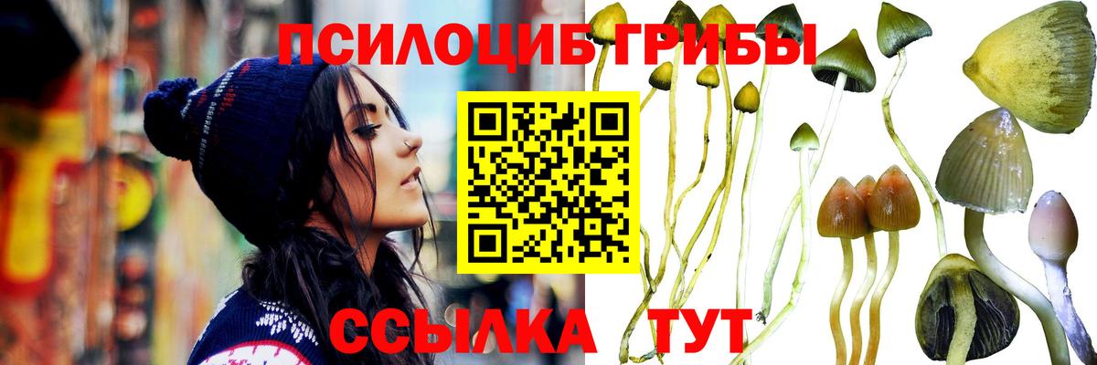 Псилоцибиновые грибы ЛСД  Вход с VPN  Старый Оскол 